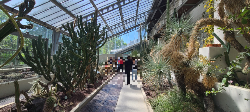 마드리드 왕립식물원 온실