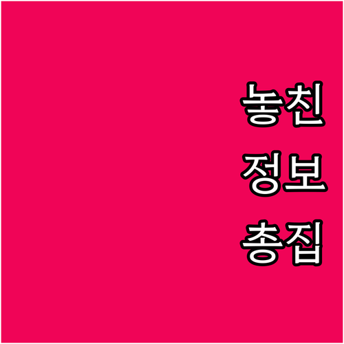 2025 강동구 보훈수당 신청 필수 ..