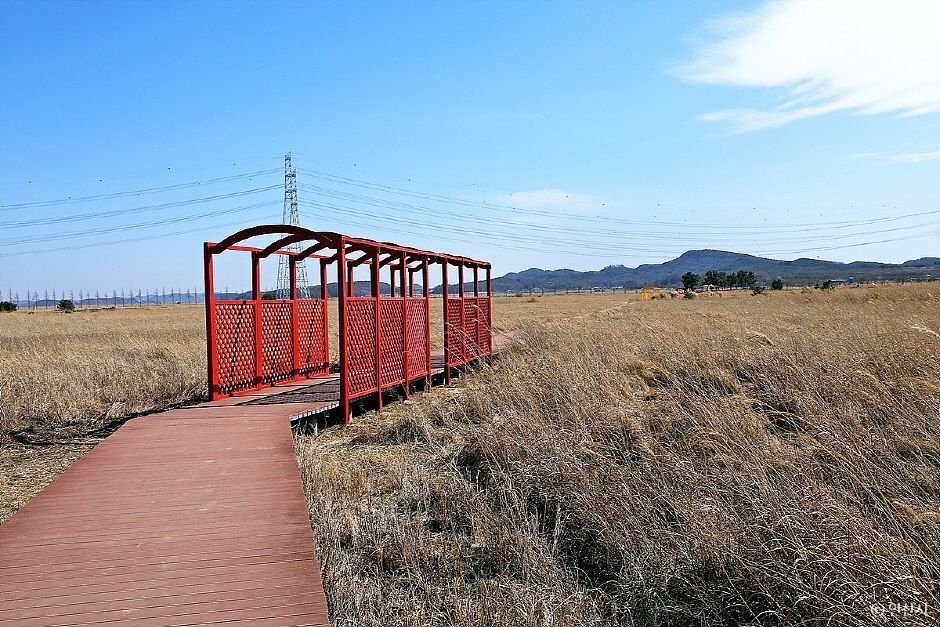 안산 가볼만한곳 베스트10