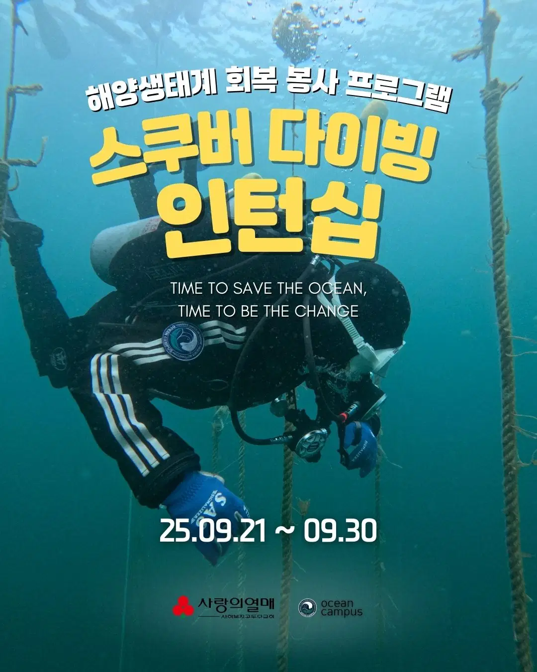 영덕, 울진 스쿠버다이빙 인턴십 신청하기