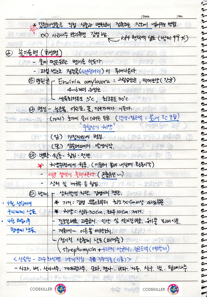 화상병 (불마름병)