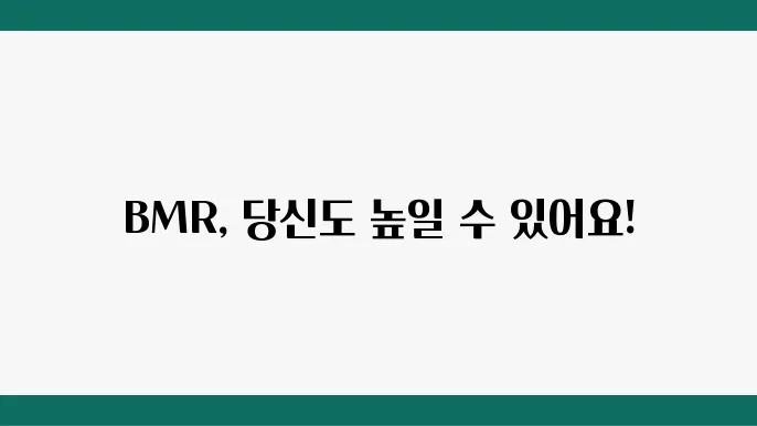 기초대사량 계산기 BMR 높이는 방법