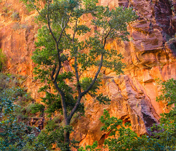 덕유산-실시간-cctv-보는방법
