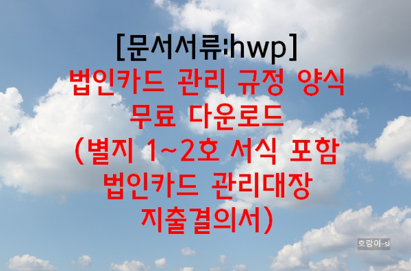 법인카드 관리 규정 양식