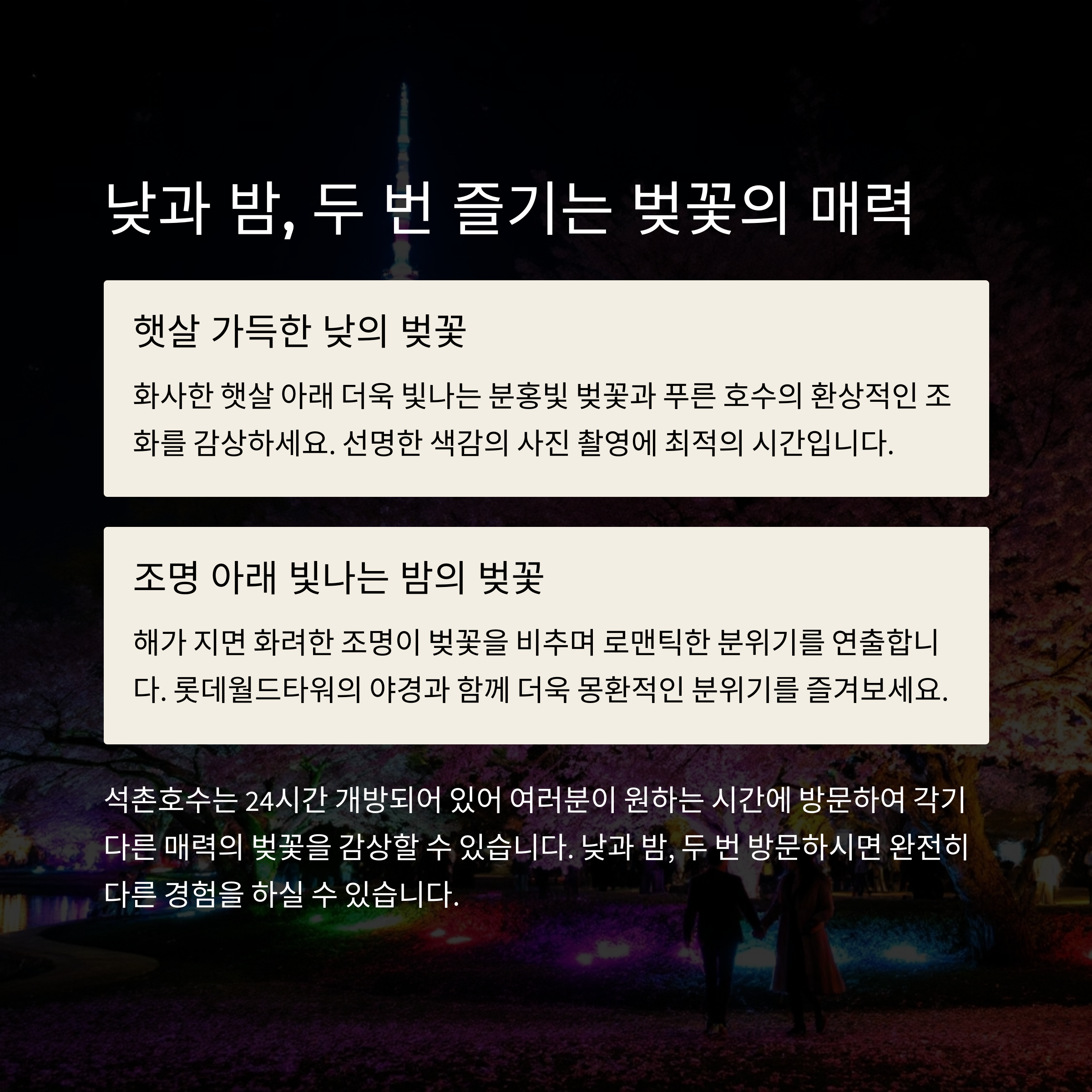 낮과 밤 두번 즐기는 벚꽃의 매력
