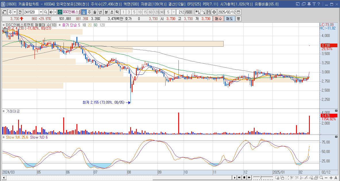 DSC인베스트먼트 일봉 차트