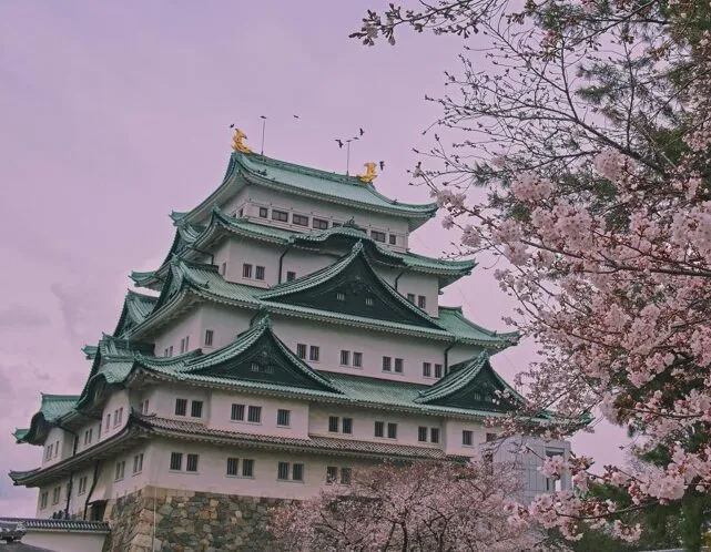 나고야 날씨 지도 나고야 여행 꿀팁 정리_2