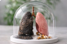 금연 후 몸의 변화 / 신체변화