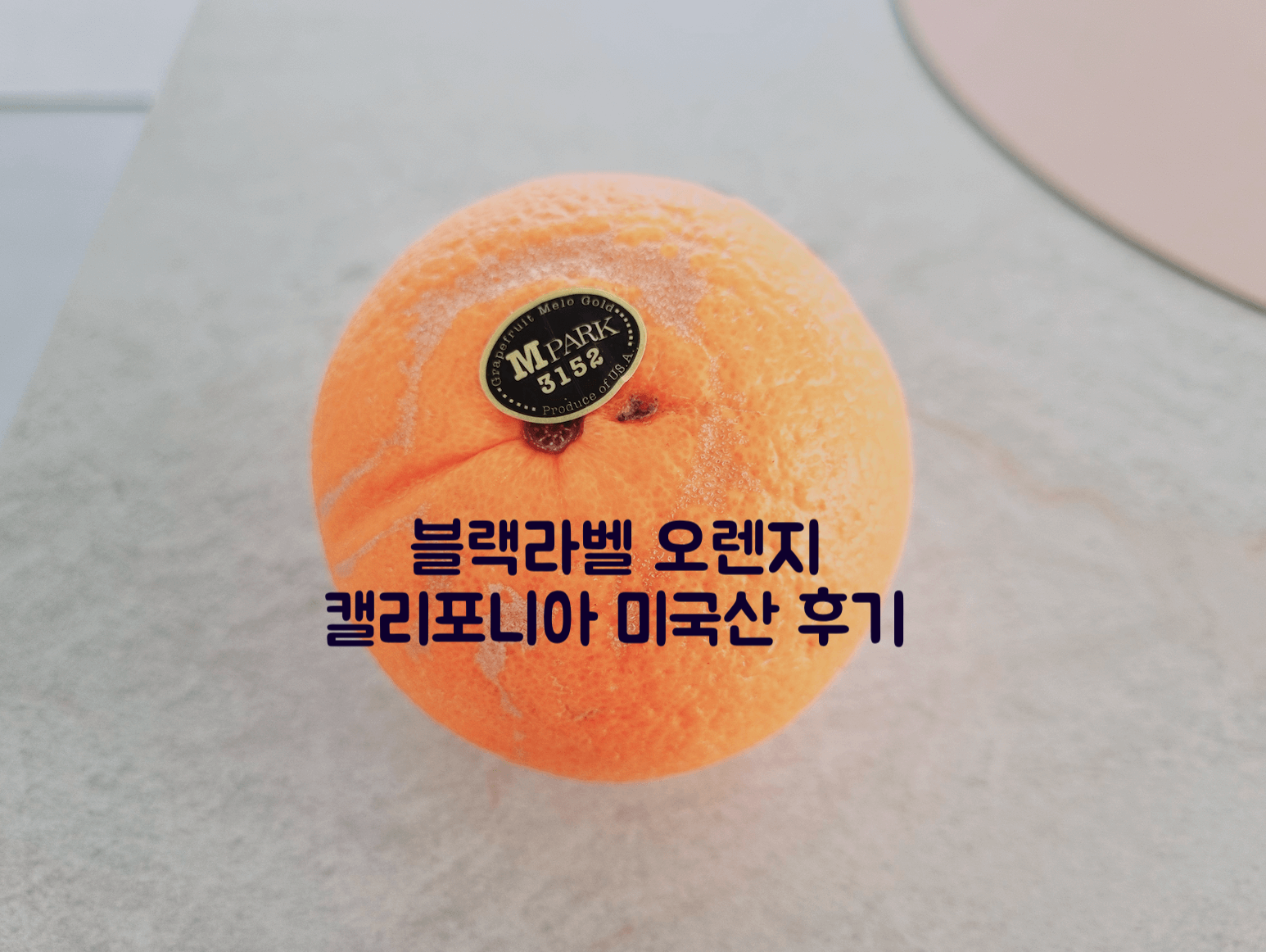 블랙라벨 오렌지