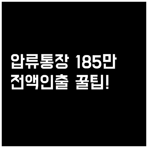 압류된 통장에서 185만 원 인출하는..