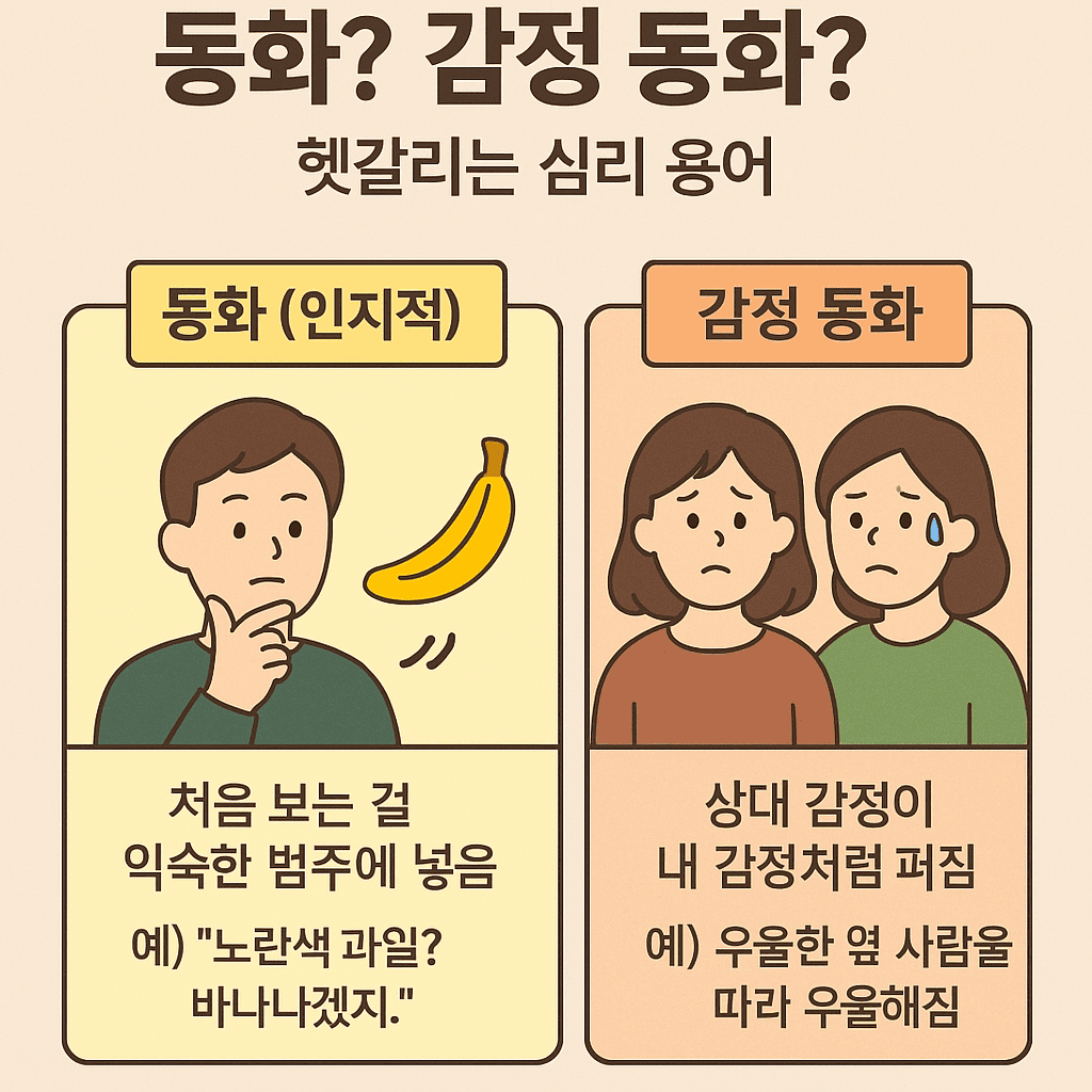 동화? 감정 동화? 헷갈리는 심리 용어