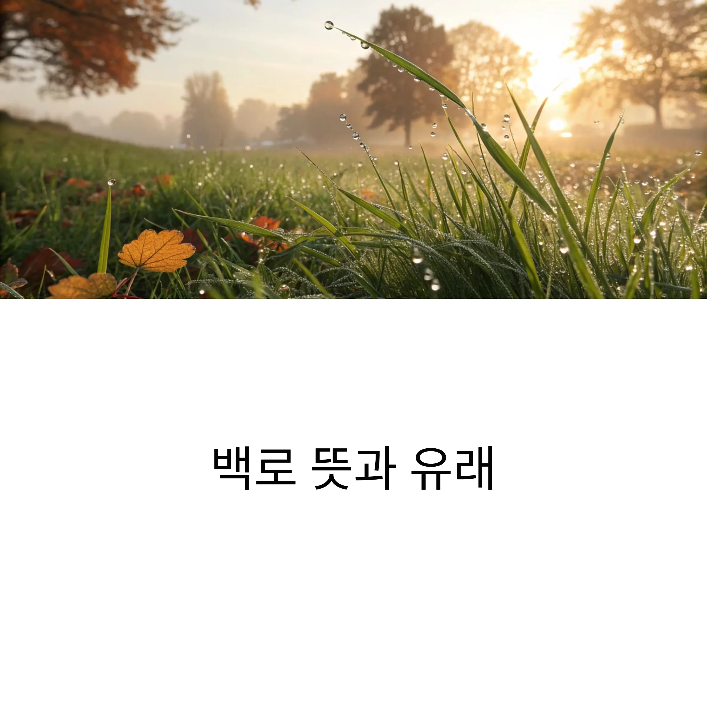 백로-뜻과-유래-24절기