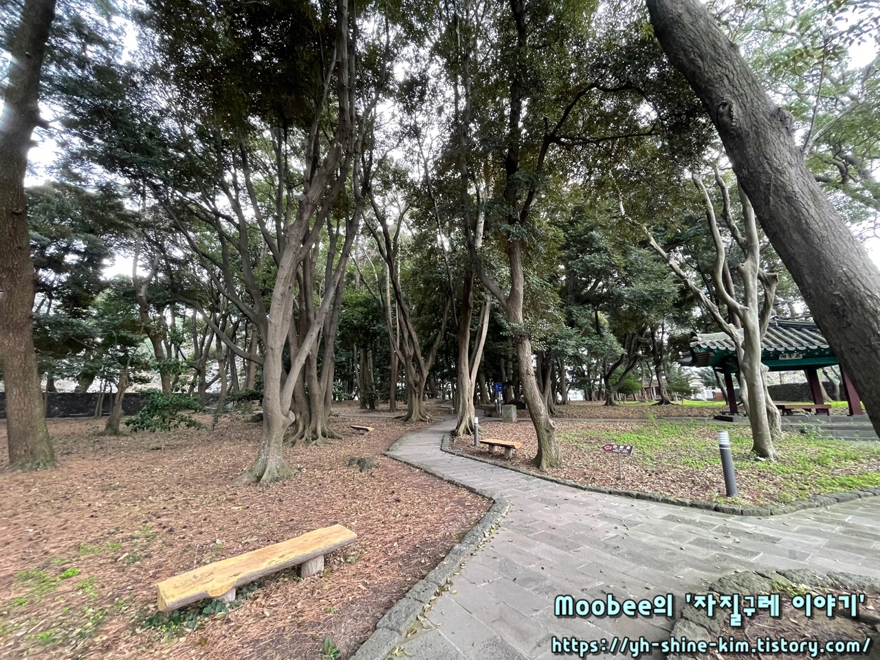 제주 삼성혈