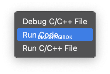 run code 버튼을 누른다.