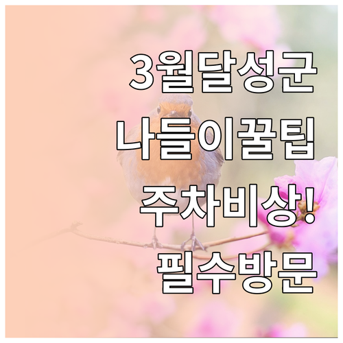 대구 달성군 3월 나들이 추천 장소 ..