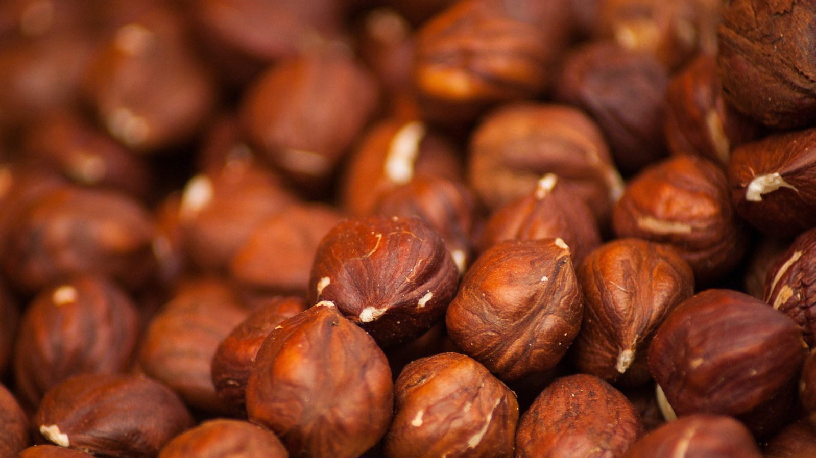 성장기 아이들에게 꼭 필요한 하루 단백질 권장량 정리