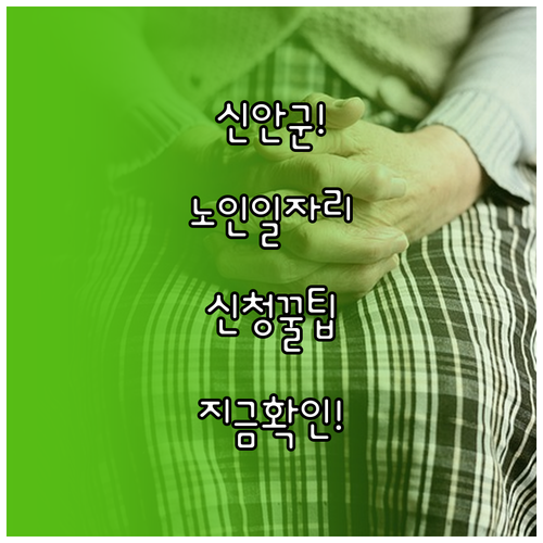 신안군 시니어클럽 일자리 상담 방법과..