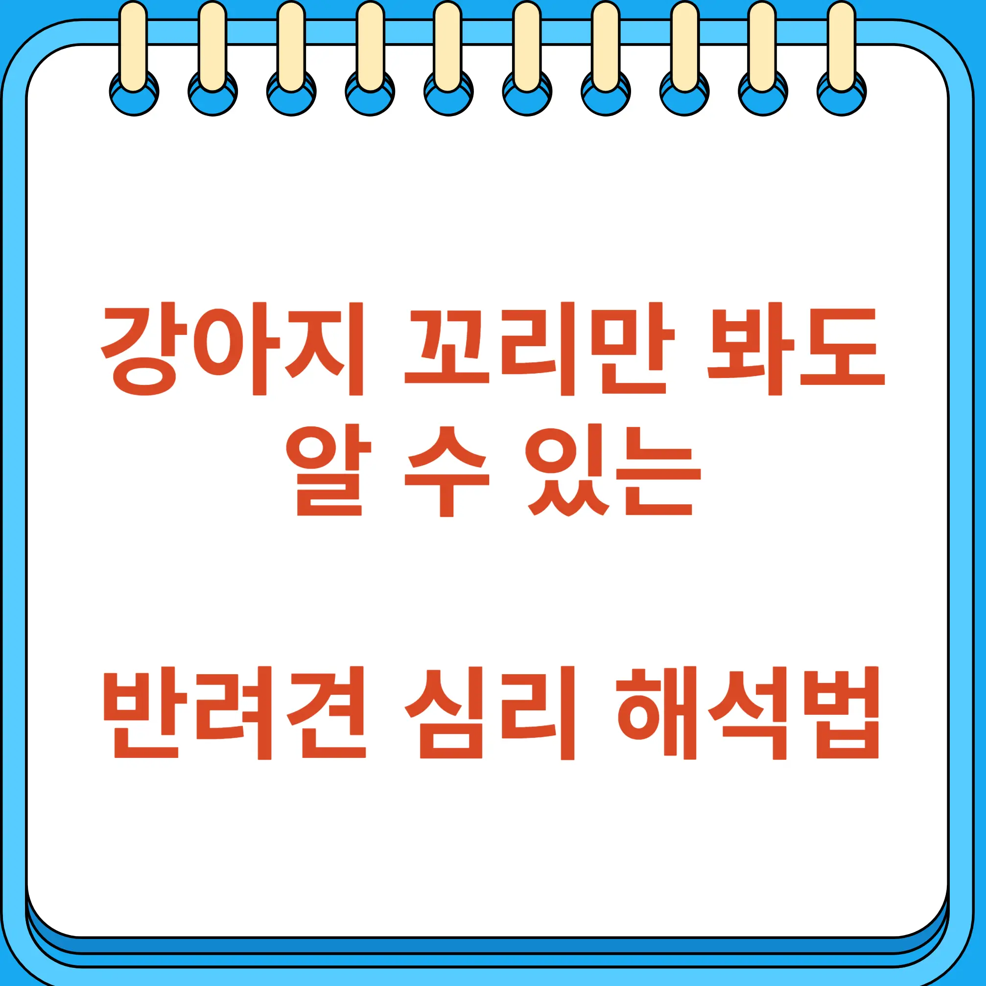 강아지 꼬리만 봐도 반려견 심리 해석법