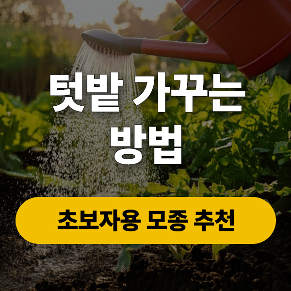 텃밭가꾸는방법