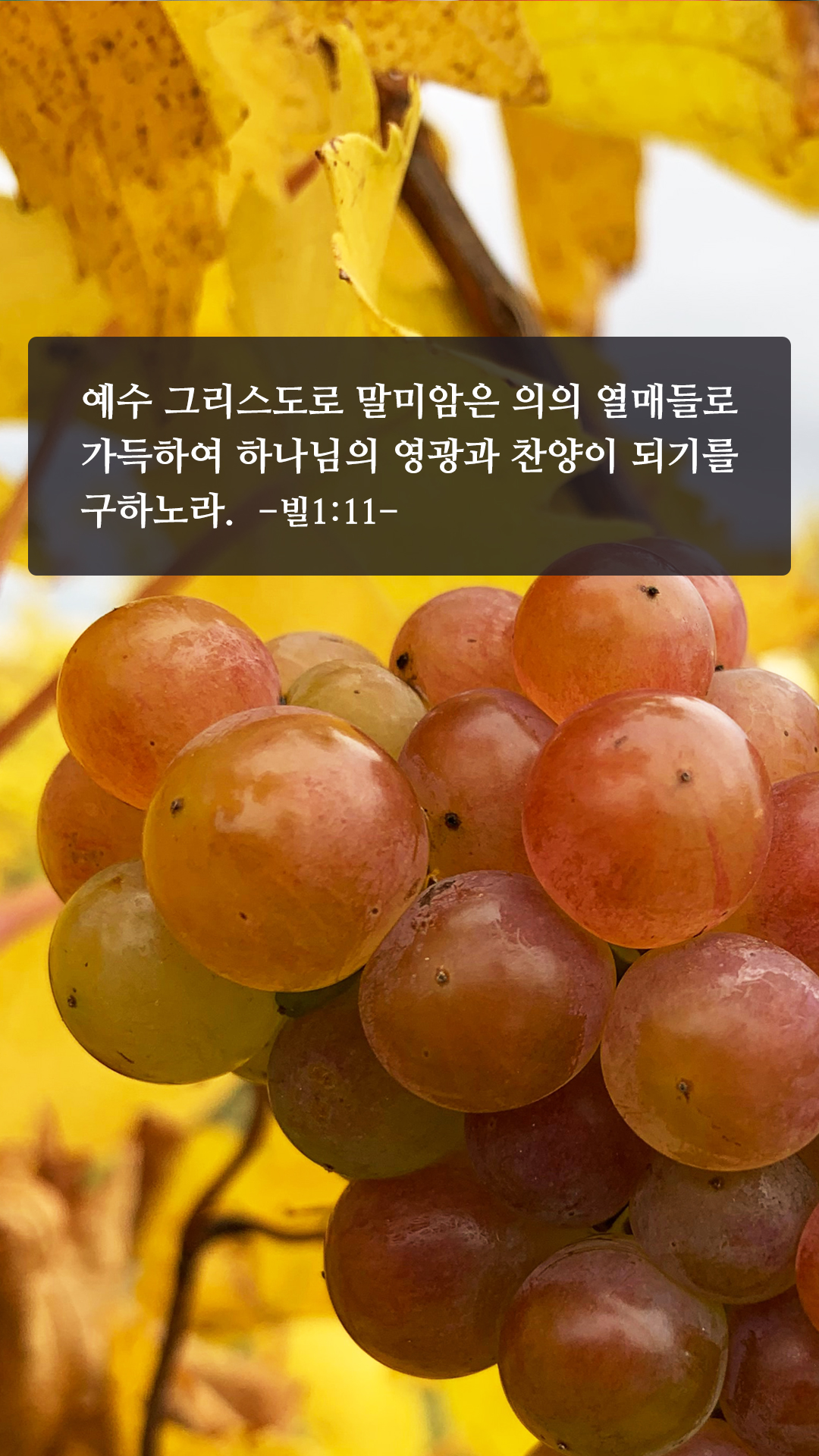 좋은 성경구절