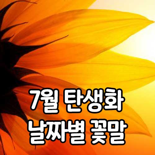 7월 탄생화 날짜별 꽃말 썸네일