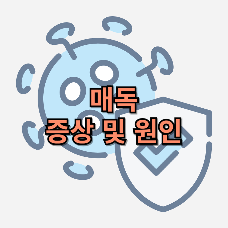 매독 원인, 증상 예방법