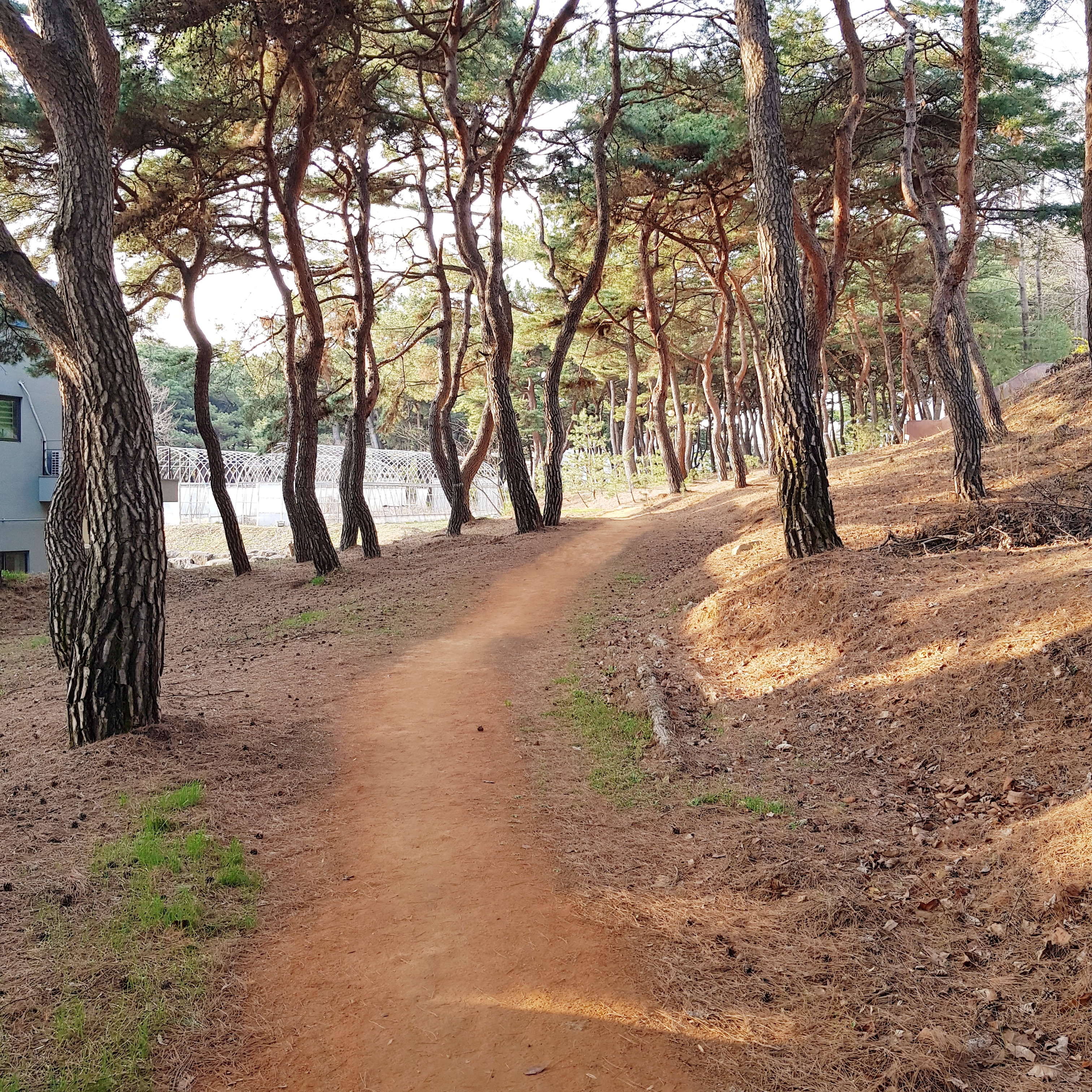 마음수련 메인센터 어싱길