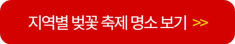 지역별-벚꽃-축제-명소-보기