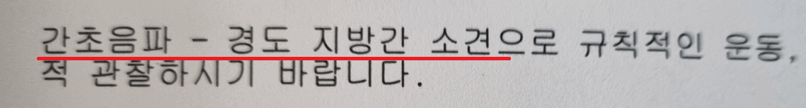 복부초음파 경도지방간 소견