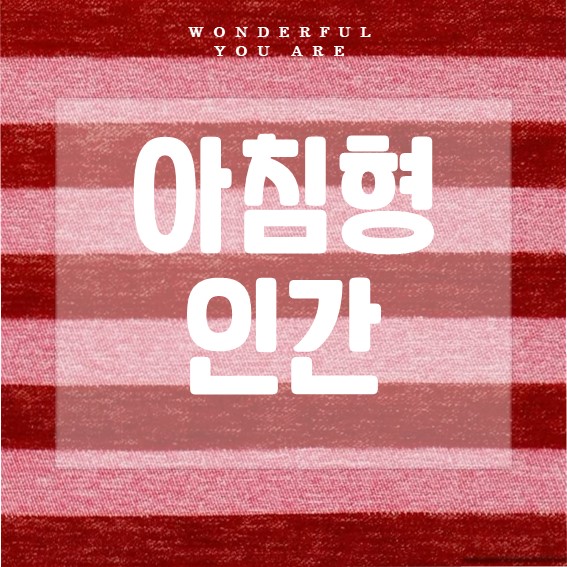 아침형 인간 완벽 가이드: 생산성과 건강의 비결