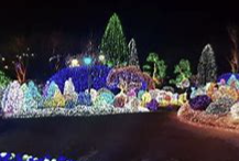 기초노령연금 수급자격 신청방법