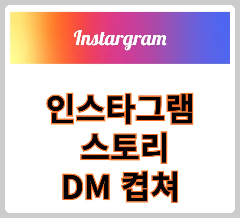 인스타그램 스토리 DM 캡쳐
