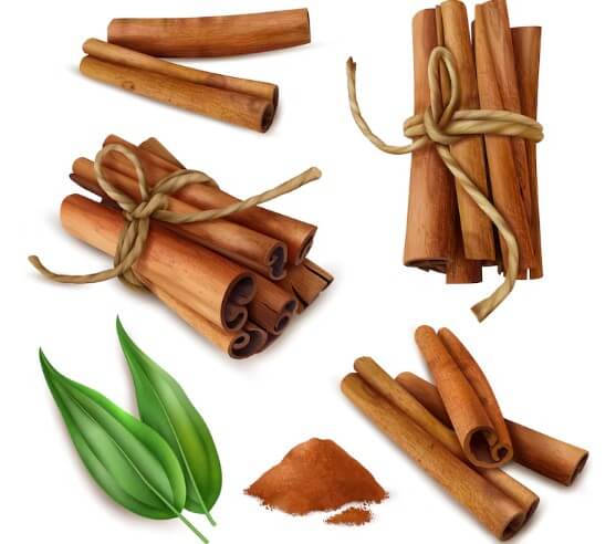 계피-벌레-퇴치-2