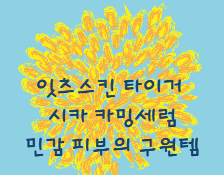 잇츠스킨 타이거 시카 카밍세럼, 민감 피부의 구원템