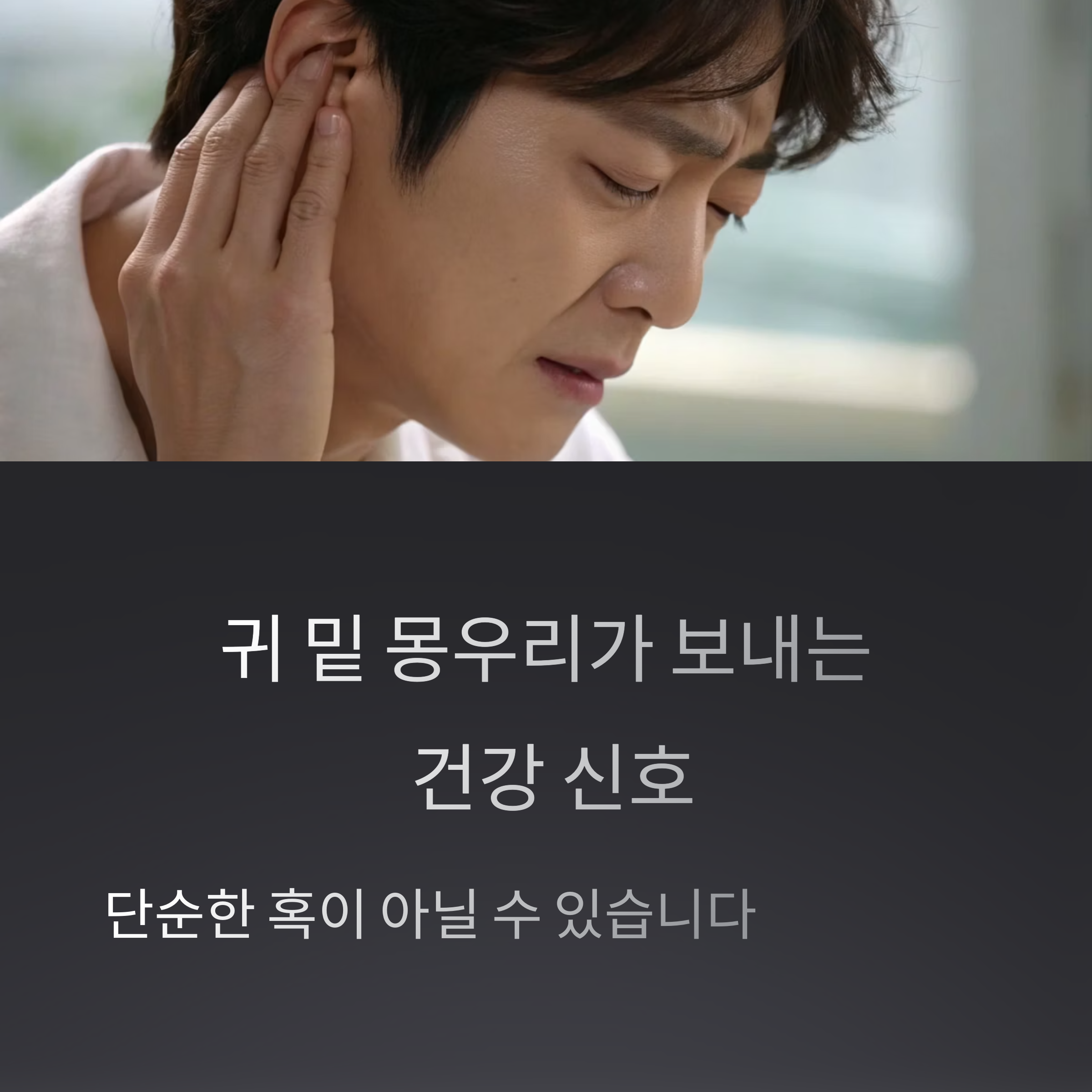 귀 밑 몽우리