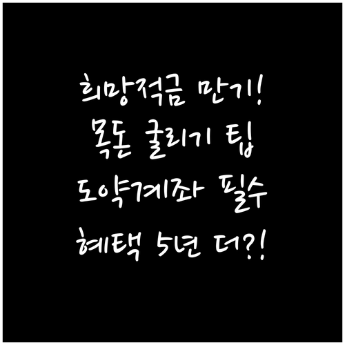 희망적금 만기 후 목돈 활용: 도약계..