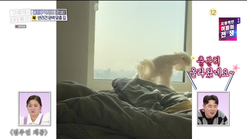 구해줘홈즈 댕댕하우스 동물병원 인접 서울시 광진구 중곡동 전세 매매 매물 가격 및 구조 인테리어 리모델링 최종선택 더보이즈 영훈 현재 소개