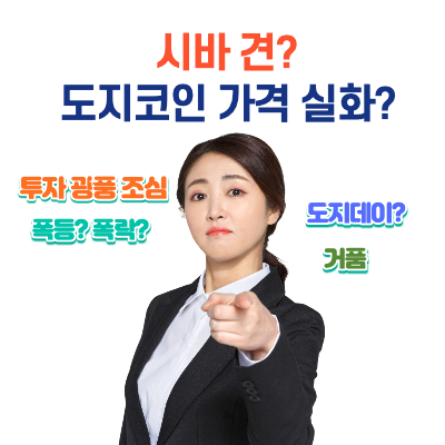 도지코인-투기광풍