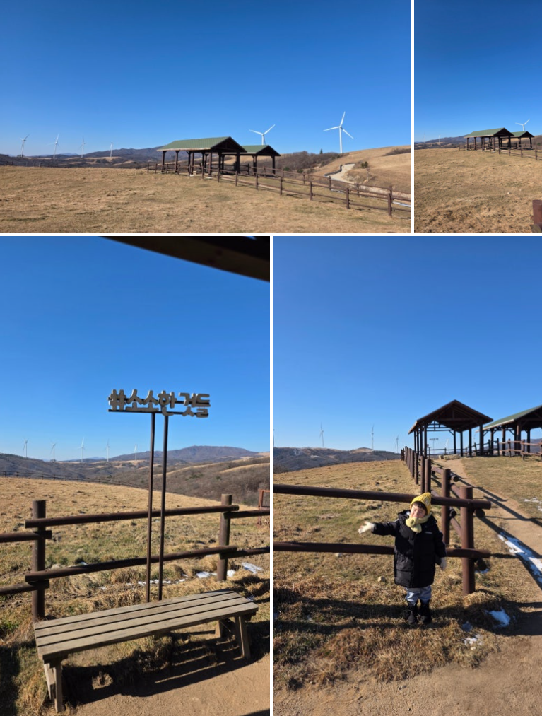 5세 아이와 함께한 대관령 삼양라운드힐