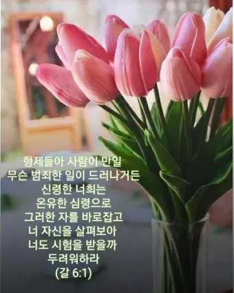 갈라디아서 6장 14절 묵상 십자가의 자랑_13