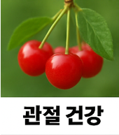 앵두 효능