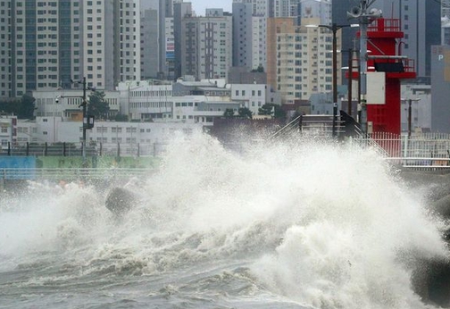 어업인 재해보험