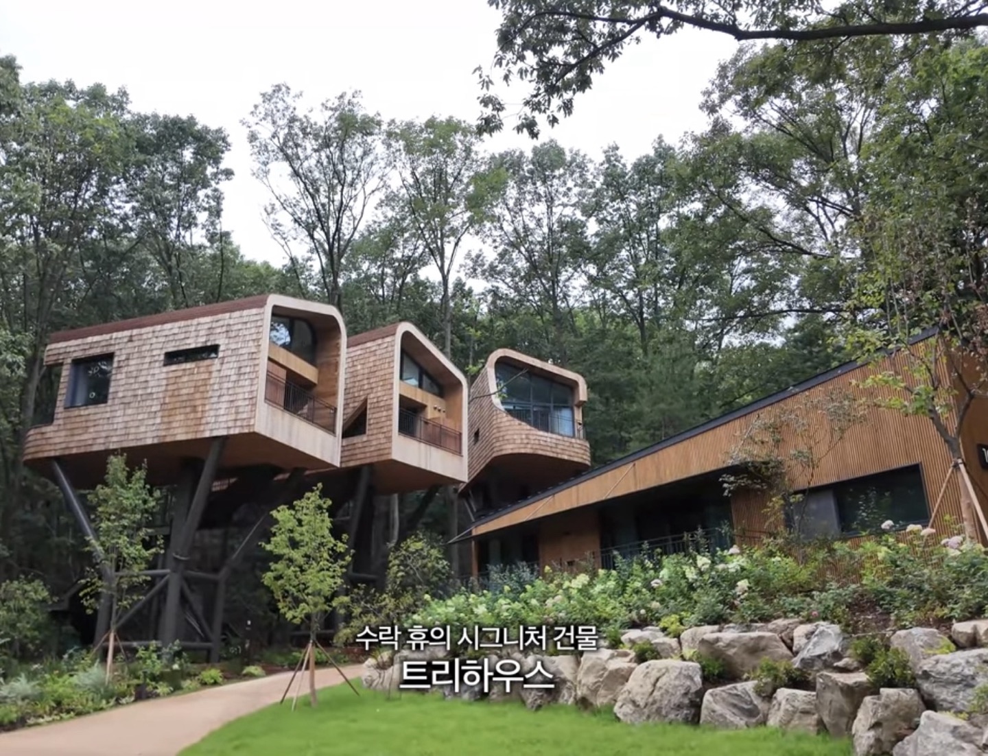 수락 휴 자연휴양림 트리하우스