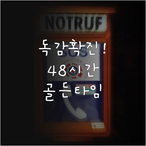 A형 독감 확진 후 48시간 골든타임..