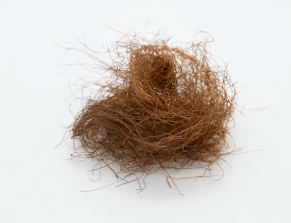 가을철 탈모&amp;#44; 예방하는 법: 두피부터 식단까지 