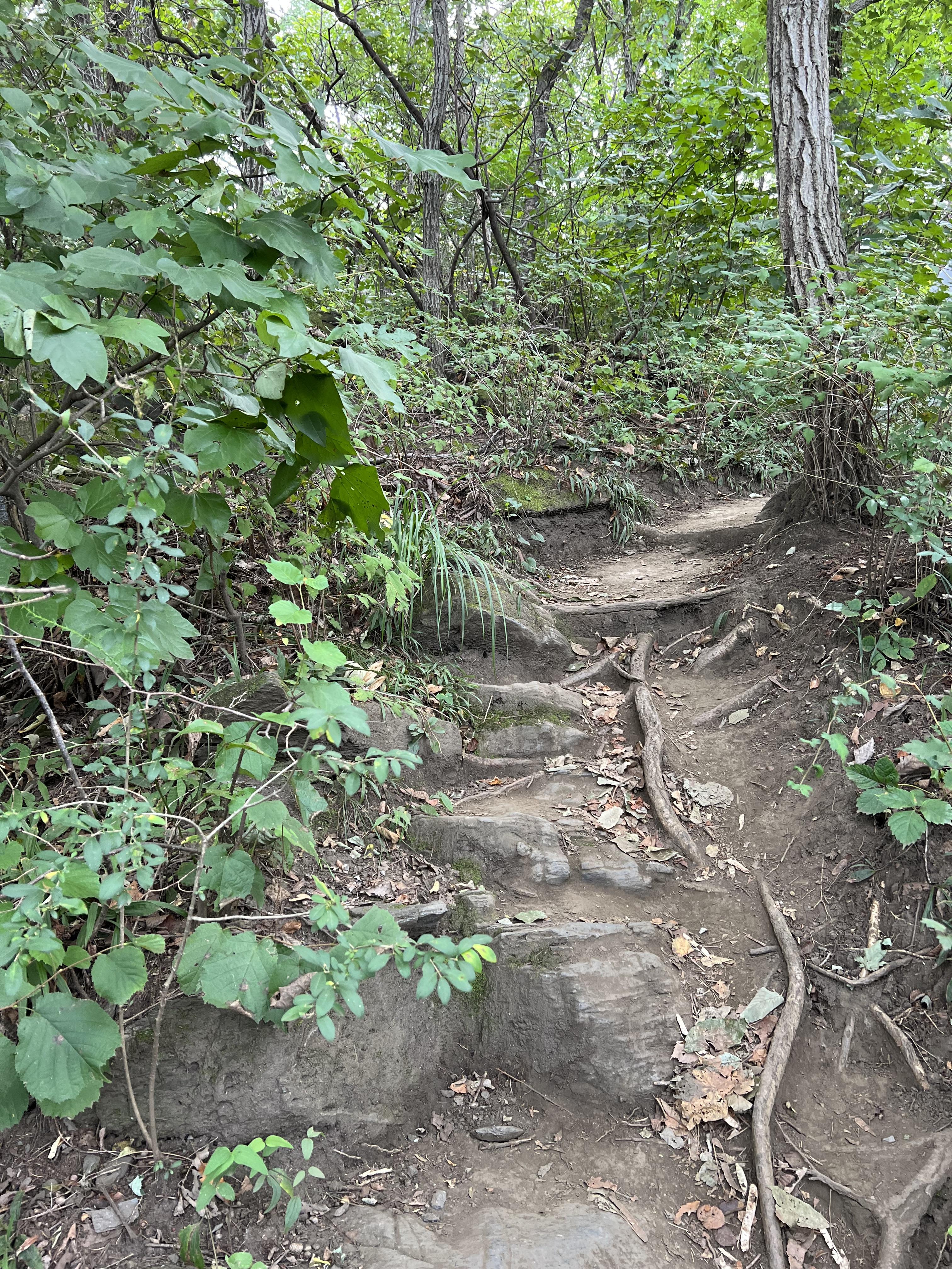 악어봉-가는-길