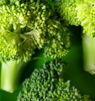 지방간에 좋은 음식 10 영양제 식단