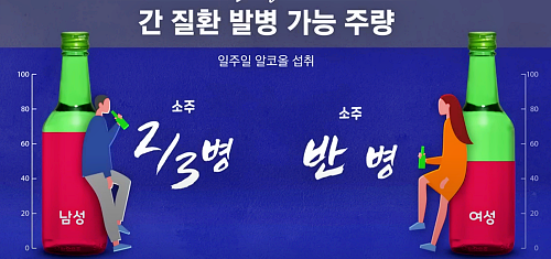 간 질환 발병 알코올 섭취량