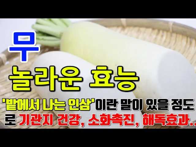 무우 효능 부작용 섭취 방법_3