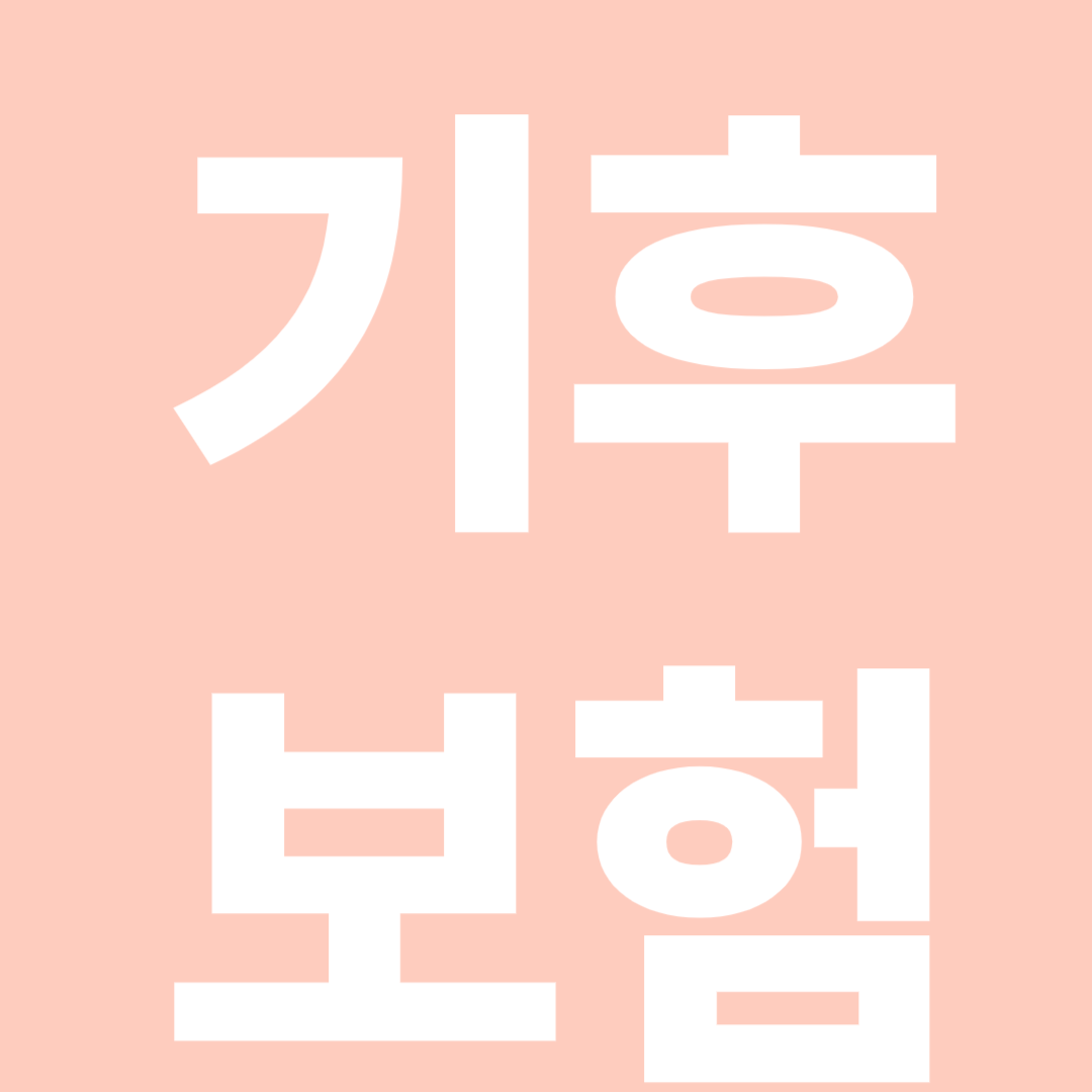 폭우.폭염 걱정끝 성남시 기후보험 최신정보